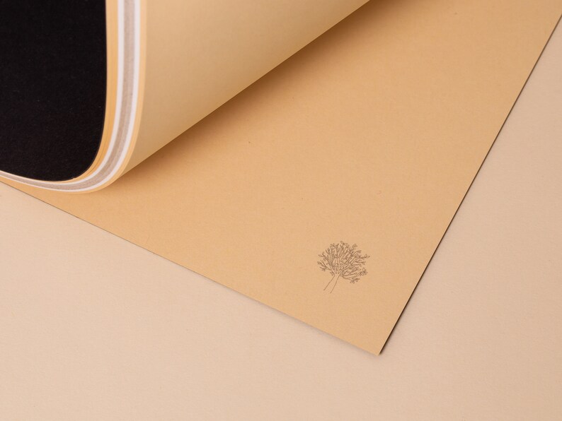 May include: A close-up of a light brown paper with a simple line drawing of a tree in the center. The paper is folded over on itself, revealing a black and white striped pattern underneath.
