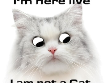 Lawyer Cat Etsy Uk