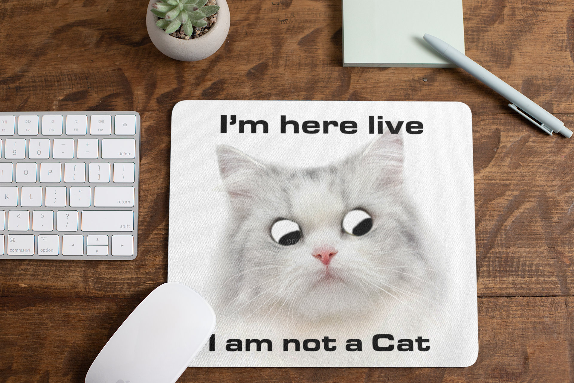 I M Here Live I Am Not A Cat Zoom Online Meeting Lawyer Etsy