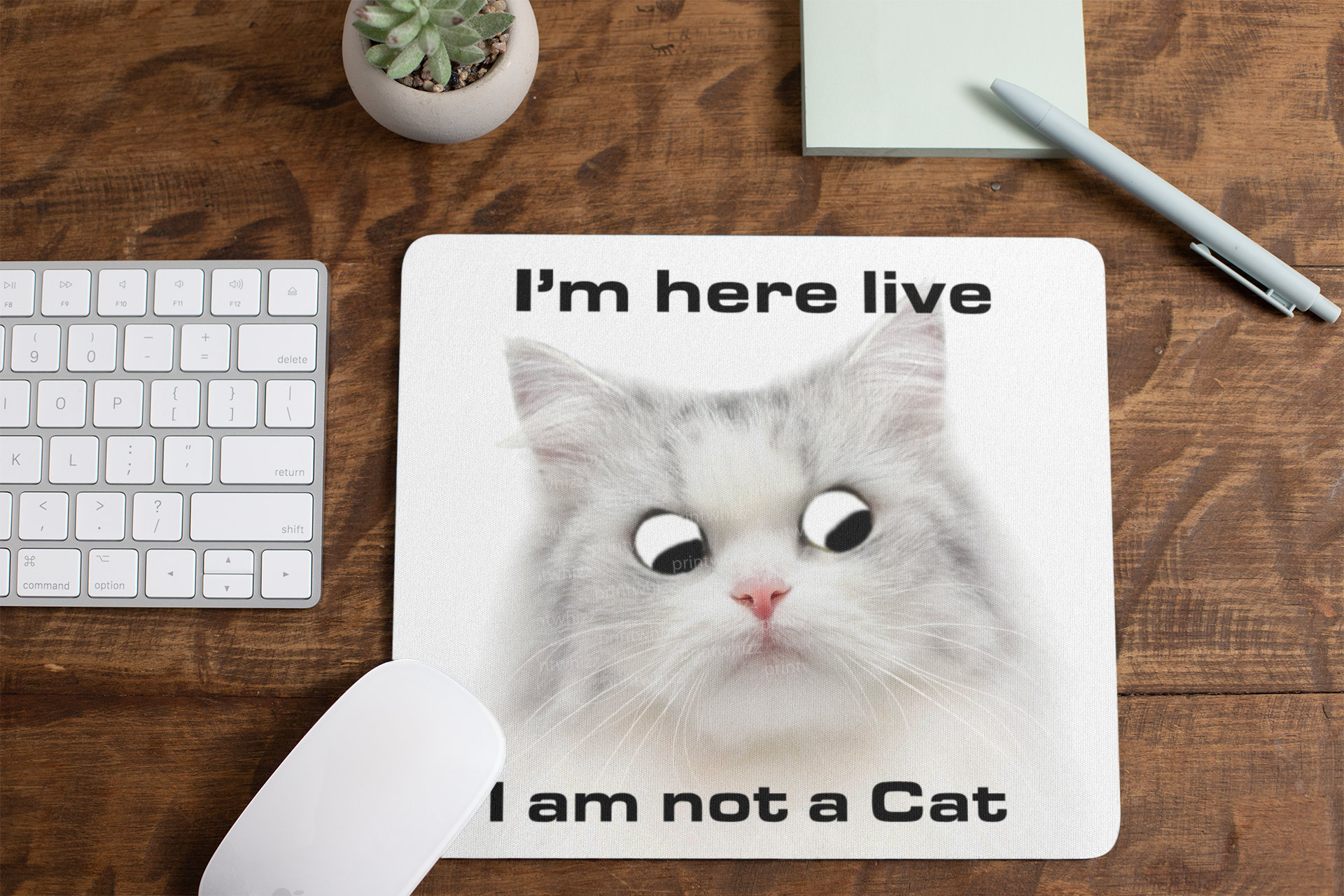 I M Here Live I Am Not A Cat Zoom Online Meeting Lawyer Etsy I M Here Live I Am Not A Cat Zoom Online Meeting Lawyer Etsy