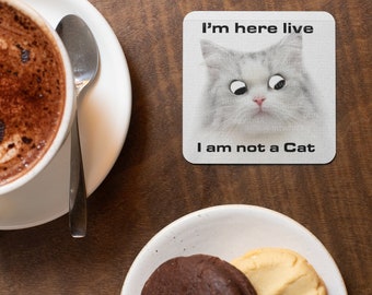Zoom The Cat Etsy Zoom The Cat Etsy