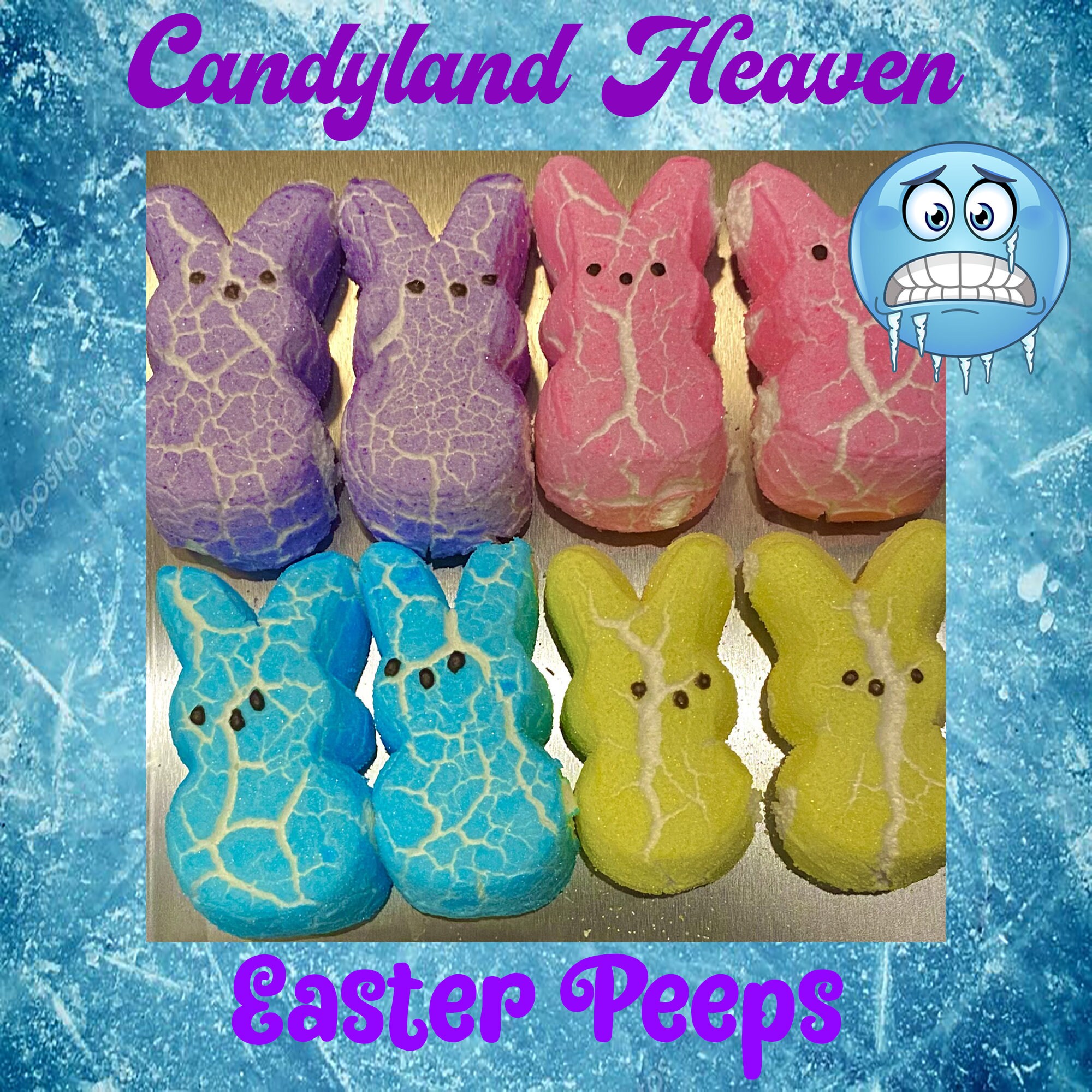 Freeze Dried Peeps Marshmallows Bunnies Astronaut Candy Etsy