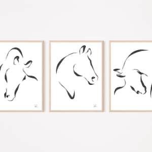 Horse Classic Line Art Set Abstract Horse Equestrian Décor Animal Black White Illustration Horse Drawing Line Art Minimalist Animal Fine Art