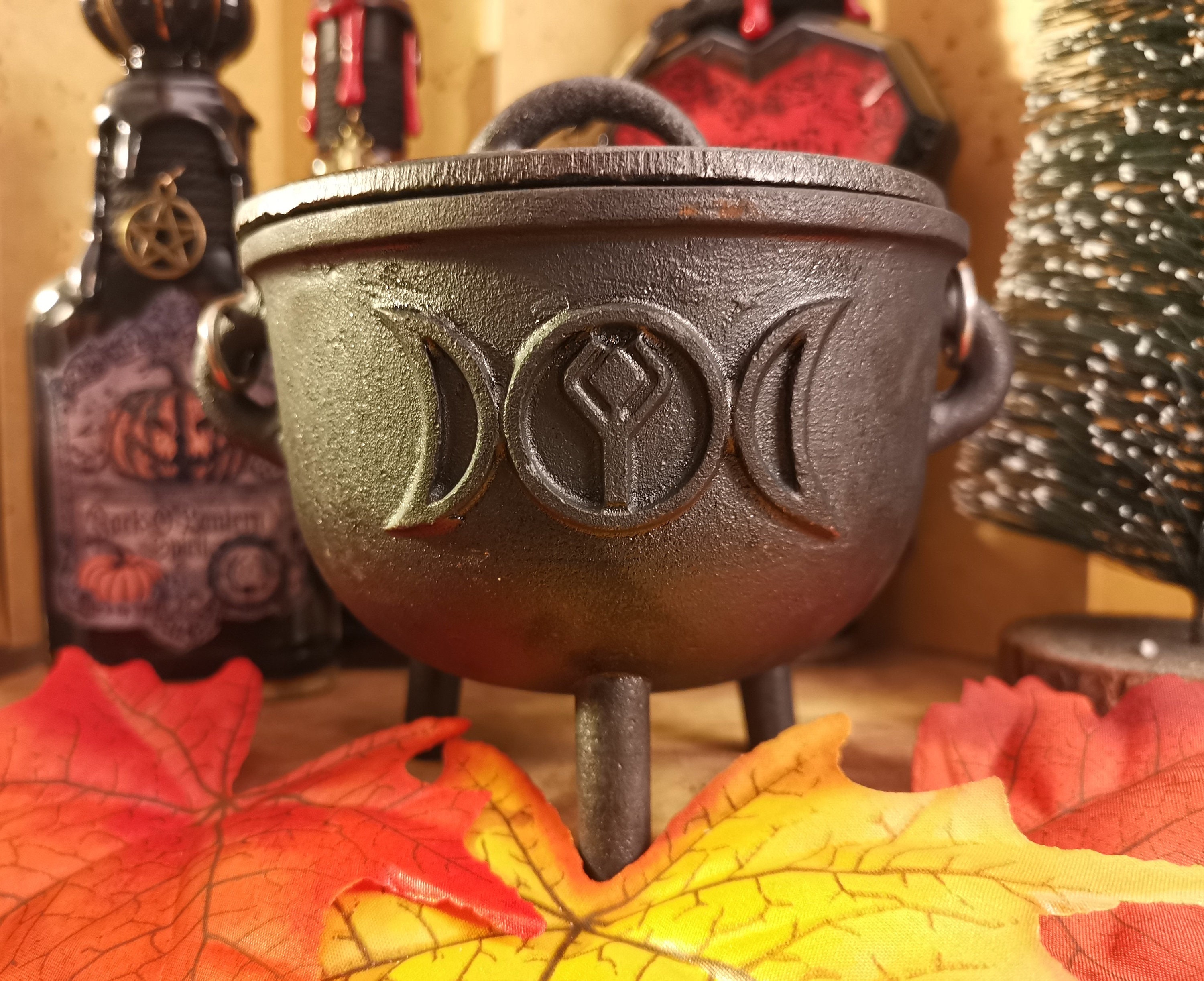 Chaudron de Sorcier(E