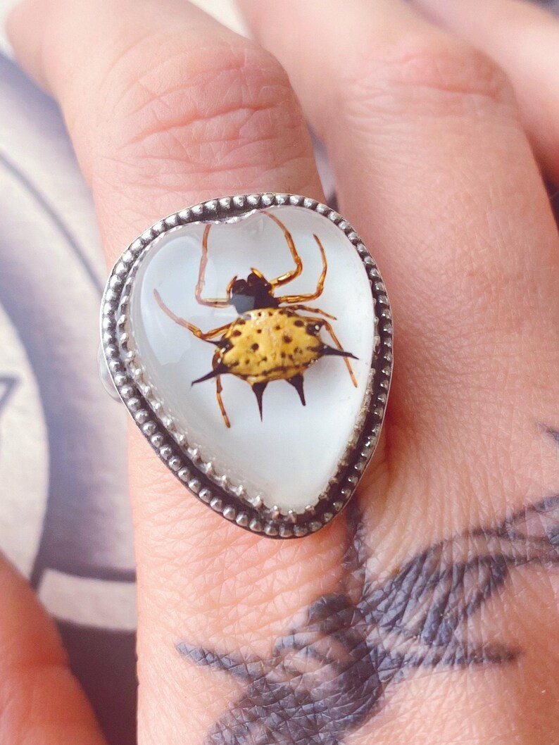 Magic Insect Ring Real Spider Sterling Silver Heart Ring. Halloween Jewellery. UK Size R ...