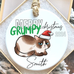Funny Cat Christmas Ornament Personalized Kitten Xmas Ornament with Cat Gift Idea, Gift for Friend, Family, Cat Lover of Cats, Cat Lady