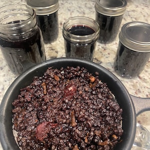 100% Organic Elderberry Syrup, Sambucus Nigra, Immune Health,