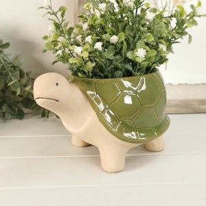 Green Tortoise Plant Pot