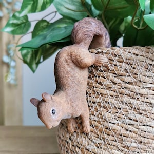May include: A brown squirrel ornament hanging from a woven basket. The squirrel has a bushy tail and is positioned as if climbing. Green leafy plants are visible in the background, creating a naturalistic scene. The basket has a light brown colour.