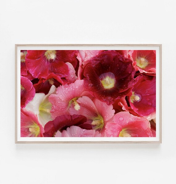 Pink flowers wall art pink flowers photography print pink Etsy