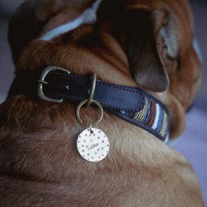 May include: A brown leather dog collar with a brass buckle and a decorative striped section. A round, silver dog tag is attached, featuring a heart pattern and the name "Totoro" in script.