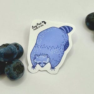 Sticker raton laveur aux bleuets