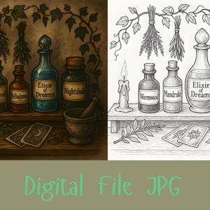 Witchy Apothecary Wall Art Set – Vintage Black and White - Color, Elixir & Potion Bottles, Digital Download JPG