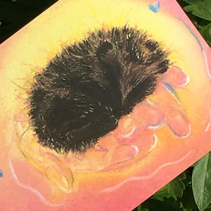 Postkarten mit Igel Karten mit Tiermotiv| Krafttier Pastellmalerei| Igel auf Händen| Gib Gas Schnecke| Füreinander da sein| Energiebild|