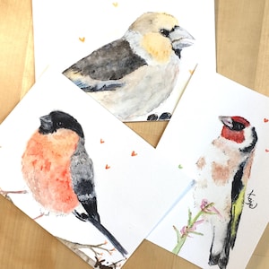 Handgemalte Vögel| Original Aquarellmalerei| Kernbeißer| Gimpel Bild| Stiglitz| Tiermotiv| Ornithologie| Geburtstagsgruß| Postkarte