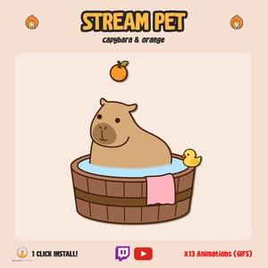 Capybara Stream Pet Widget / STREAMELEMENTS Interactive Pet Mascot / YouTube Twitch Stream Pet / Cute Animal/ Capybara Orange Animated Alert