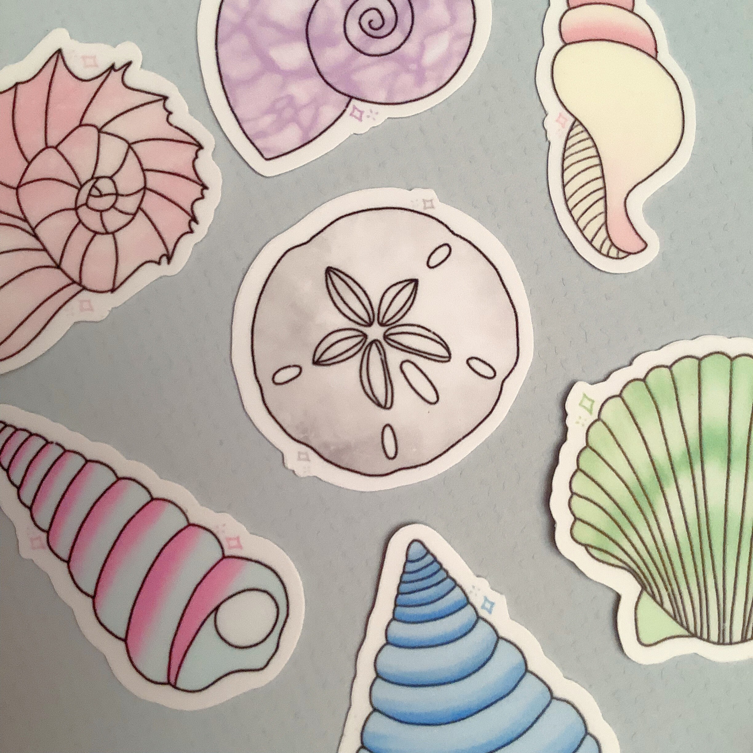 Small Sea Shells Sticker Pack / Ocean Stickers / Colorful Shell ...