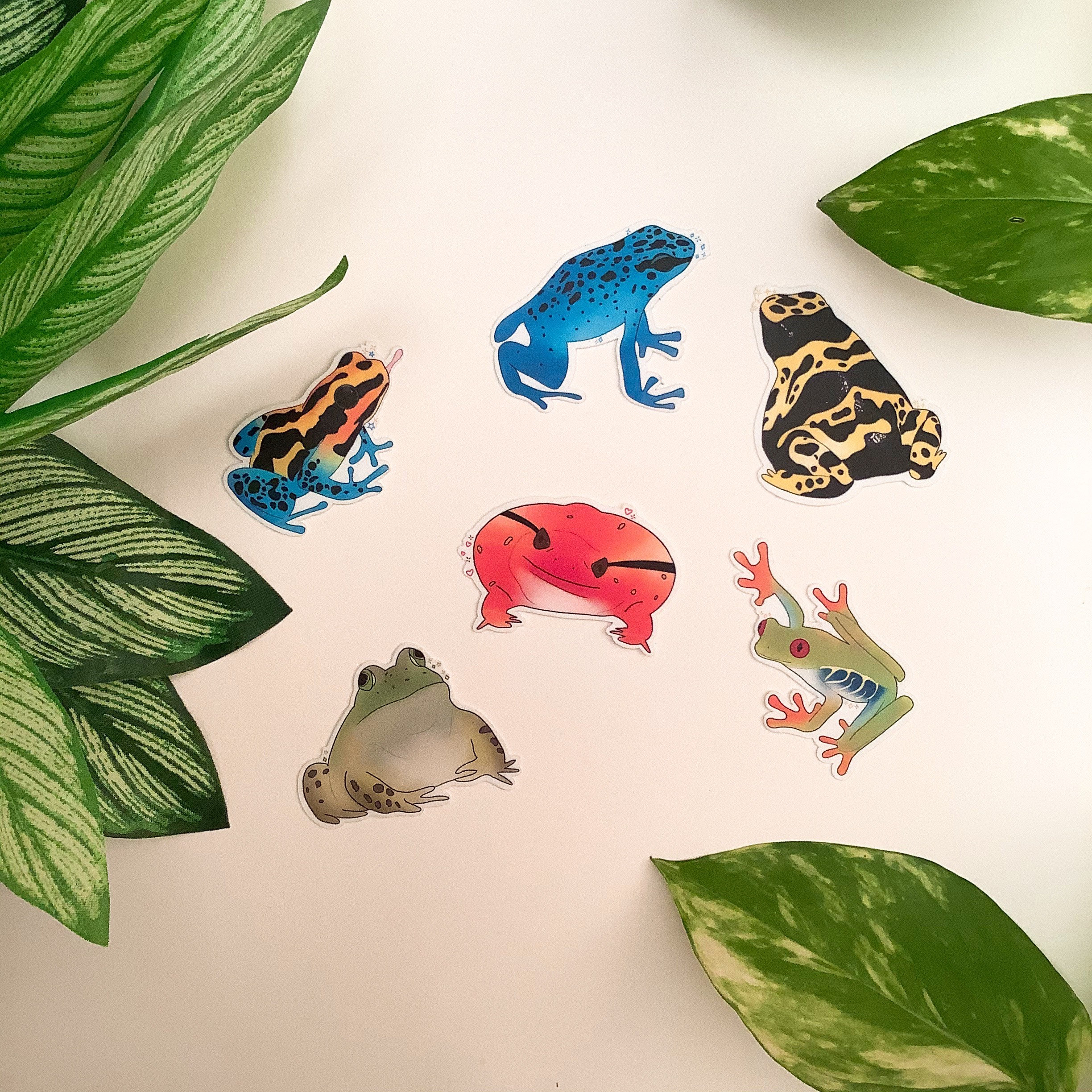 Yellow Frog Sticker Frog Sticker Pack / Mini Frog Stickers / 6 Pcs - Etsy