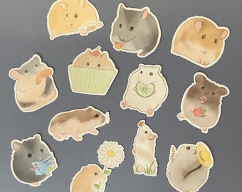 Hamster Sticker Pack / Hamster lover / Hamster stickers / 12 pcs