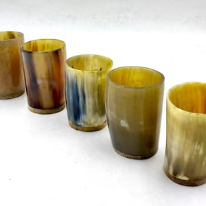 Set of 8 Horn Shot Glass Vodka Glass Tequila Glass Mini glasses set buffalo horn made viking style drinking