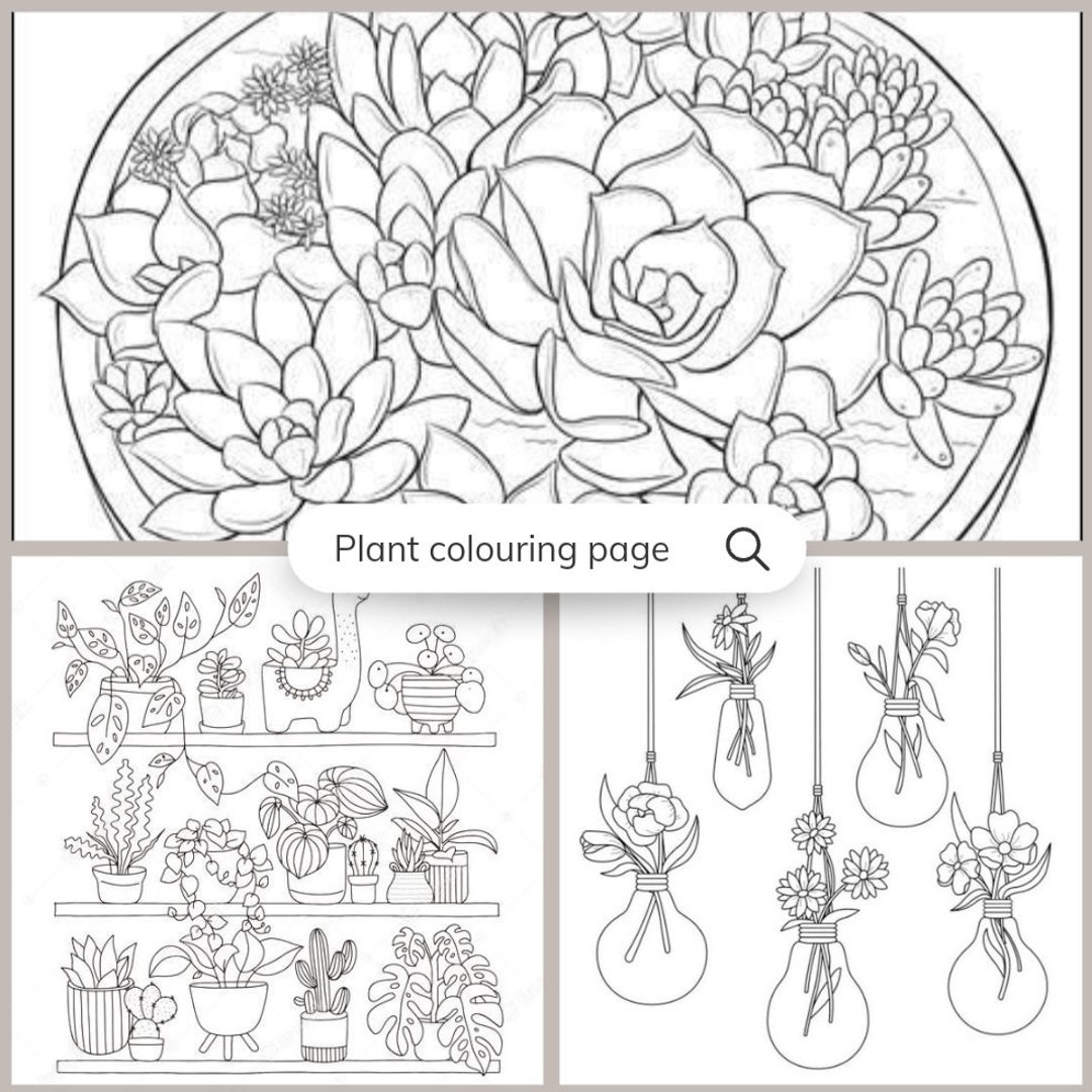 5 Plant and Botanical Colouring Pages for Relaxation and - Etsy