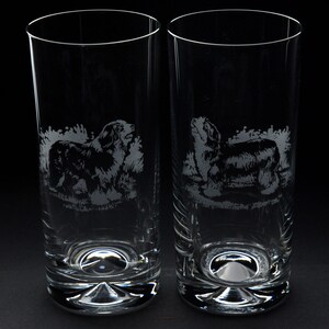 Bearded Collie Dog Highball Glass 300 ml - Hand Etched/Engraved Bearded Collie Design by Glyptic Glass Art - Unique Gift