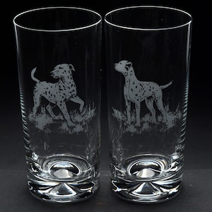 Dalmatian Dog Highball Glass 300 ml - Hand Etched/Engraved Dalmatian Design by Glyptic Glass Art - Unique Gift