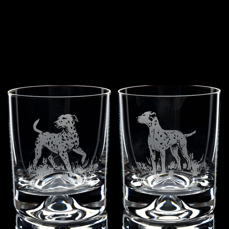 Dalmatian Dog Whiskey Tumbler Glass 260 ml - Hand Etched/Engraved Dalmatian Design by Glyptic Glass Art - Unique Gift