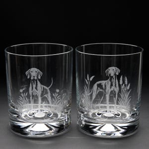 Ungarischer Vizsla Hund Whisky Becherglas | Geätzte gravierte Glaswaren | Ungarischer Vizsla Hund Haus & Bar Dekor
