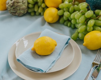 Sky Blue linen napkin set of 2, organic soft linen dinner napkins, table linens, eco friendly square napkins handmade of 100% linen