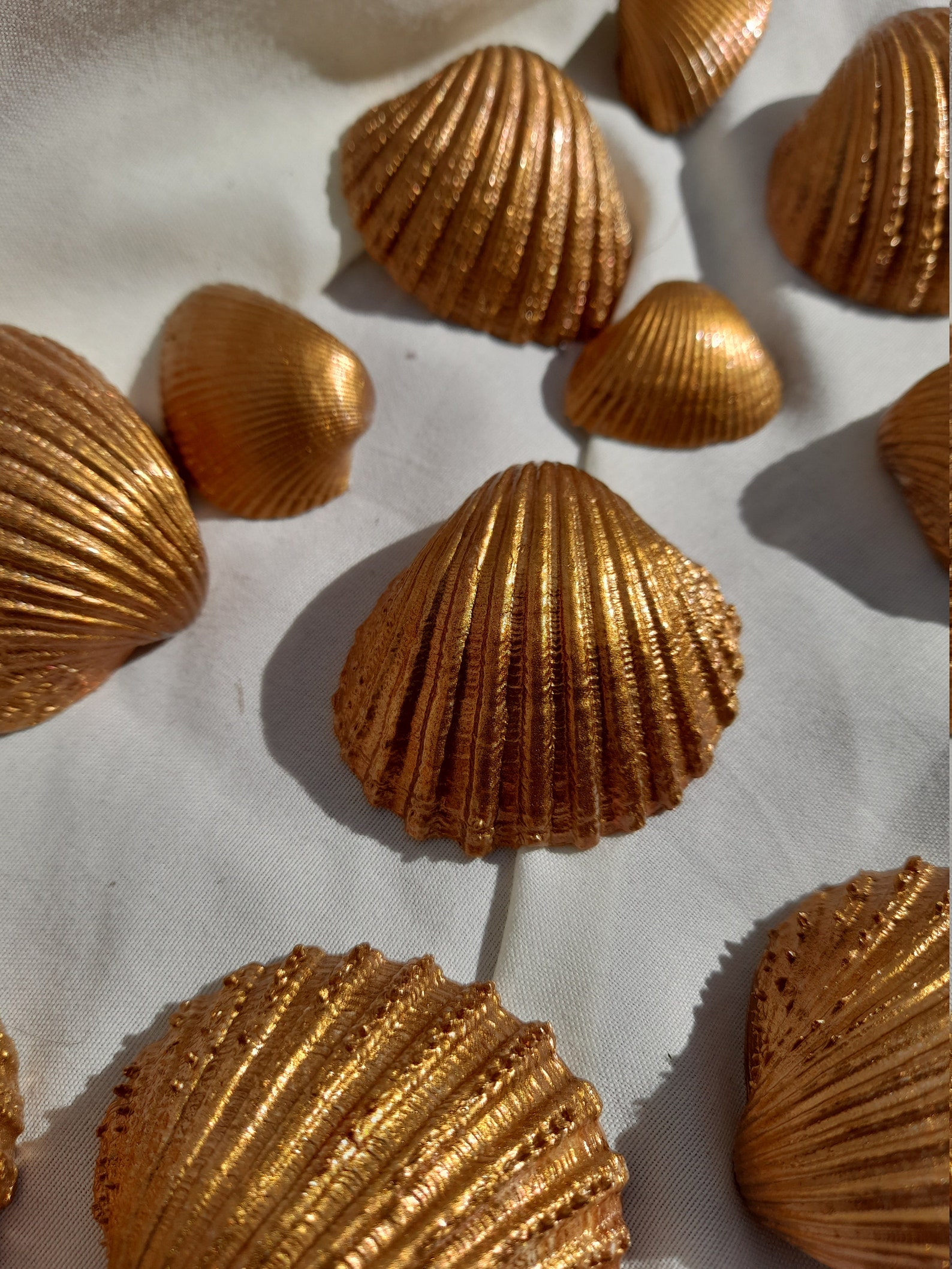 Large Gold Real Seashells Seashell Decor Seashell DIY Arts Etsy