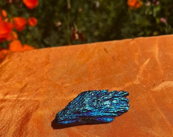 Peacock Aura Kyanite Crystal: Dragon's Head Rainbow Kyanite