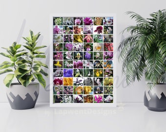 Orchid Mosaic, Flower Photography, Digital File for Wall Decor