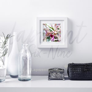 Vanda Tricolor, Digital File for Floral Wall Decor