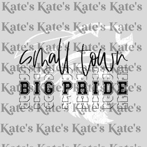 Small Town Big Pride Pirates DTF Transfer
