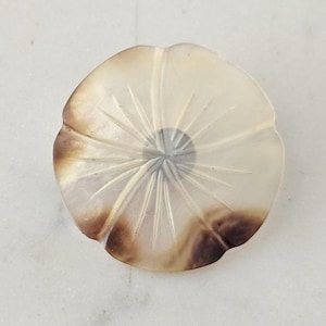 Rare Antique Mother of Pearl Pansy Button | Carved Ivory and Brown MOP | 4 Way Box Shank Collector Button