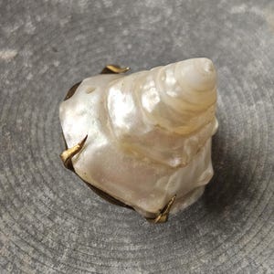 Vintage Pearl Trochus Shell Button: French Collector Button
