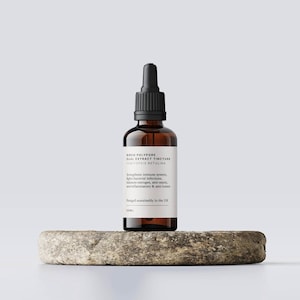 Bouleau Polypore Mushroom Teinture double extraction 50 ml