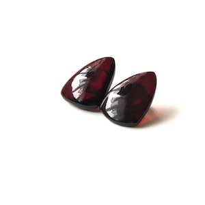 Natural Baltic Amber Earrings