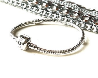 EverReena Beads Cupids Love Valentine HeartRomantic Charm for Silver Bracelets EverReena Beads Cupids Love Valentine HeartRomantic Charm for Silver Bracelets