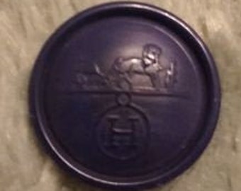 Hermes Resin "Royal" button