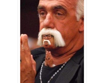 Danny DeVito Kiss-Cut Vinyl Aufkleber für Laptop, Wasserflasche, Auto, Telefon, Geschenk, Meme Aufkleber