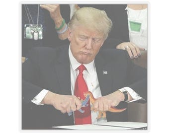 Donald Trump Dinosaurier Aufkleber - Lustiges politisches Mem, Trump Vinyl Aufkleber, Konservativ großzügiges Gag Geschenk, Laptop & Wasserflasche Aufkleber