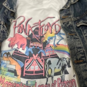 Pink Floyd wall t-shirt/ vintage feel/band tees/White