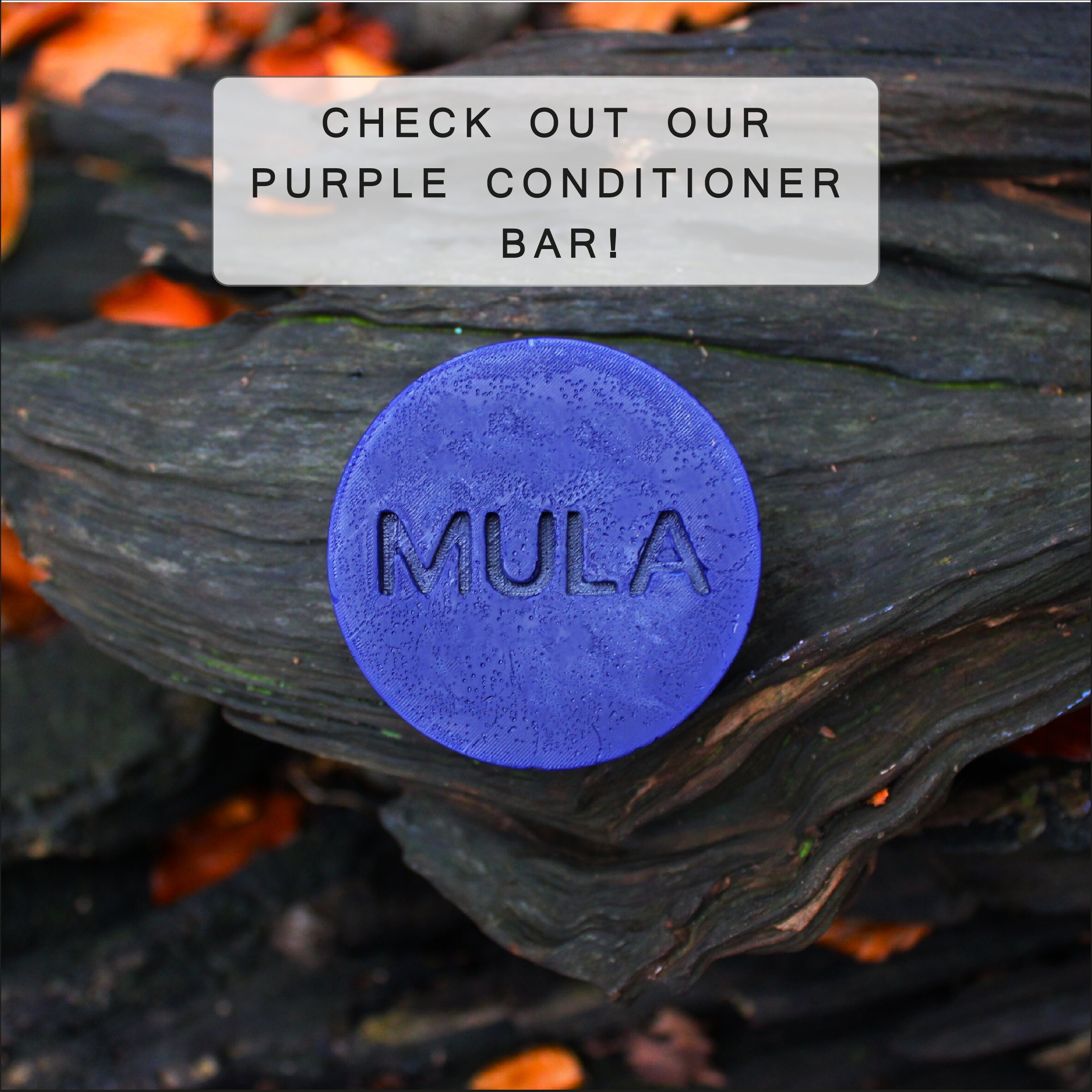 Purple Shampoo Bar Cocoa Butter Coconut Oil Argan Oil Etsy