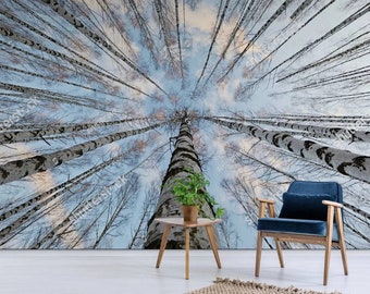 Birch Tree Forest Wallpaper Mural – 3D Nature Peel and Stick Accent