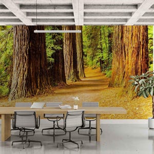 Forest Path Textured or Peel and Stick Wallpaper, Trees wall paper Mural for Modern Bedroom, Living room decor - Rustic Accent Wall Mural