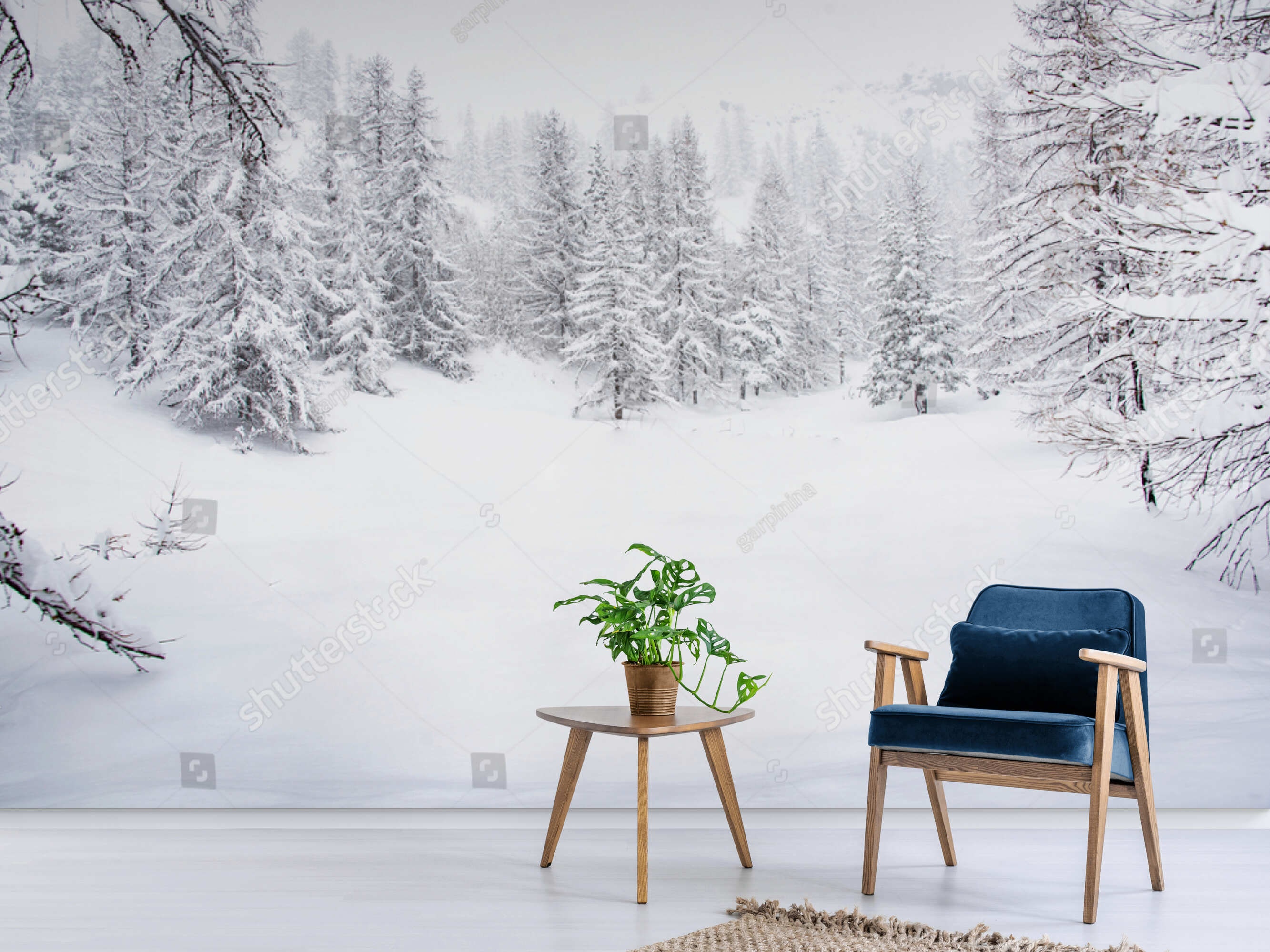 https://i.etsystatic.com/27256949/r/il/6fe30b/3880076304/il_fullxfull.3880076304_aqab.jpg