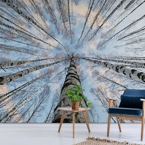 Birch 3d Wall Mural Peel and Stick Wallpaper Wall Paper 3 d Vinyl wallpapers for Living Art Room modern 3d mural wall covering