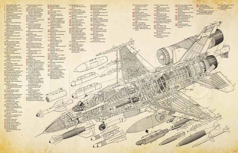 May include: A detailed cutaway illustration of a fighter jet, showing the internal workings and components. The jet is depicted in a light gray color with black lines outlining the various parts. The illustration includes a numbered key with descriptions of each component, such as the cockpit, engine, and weapons systems.